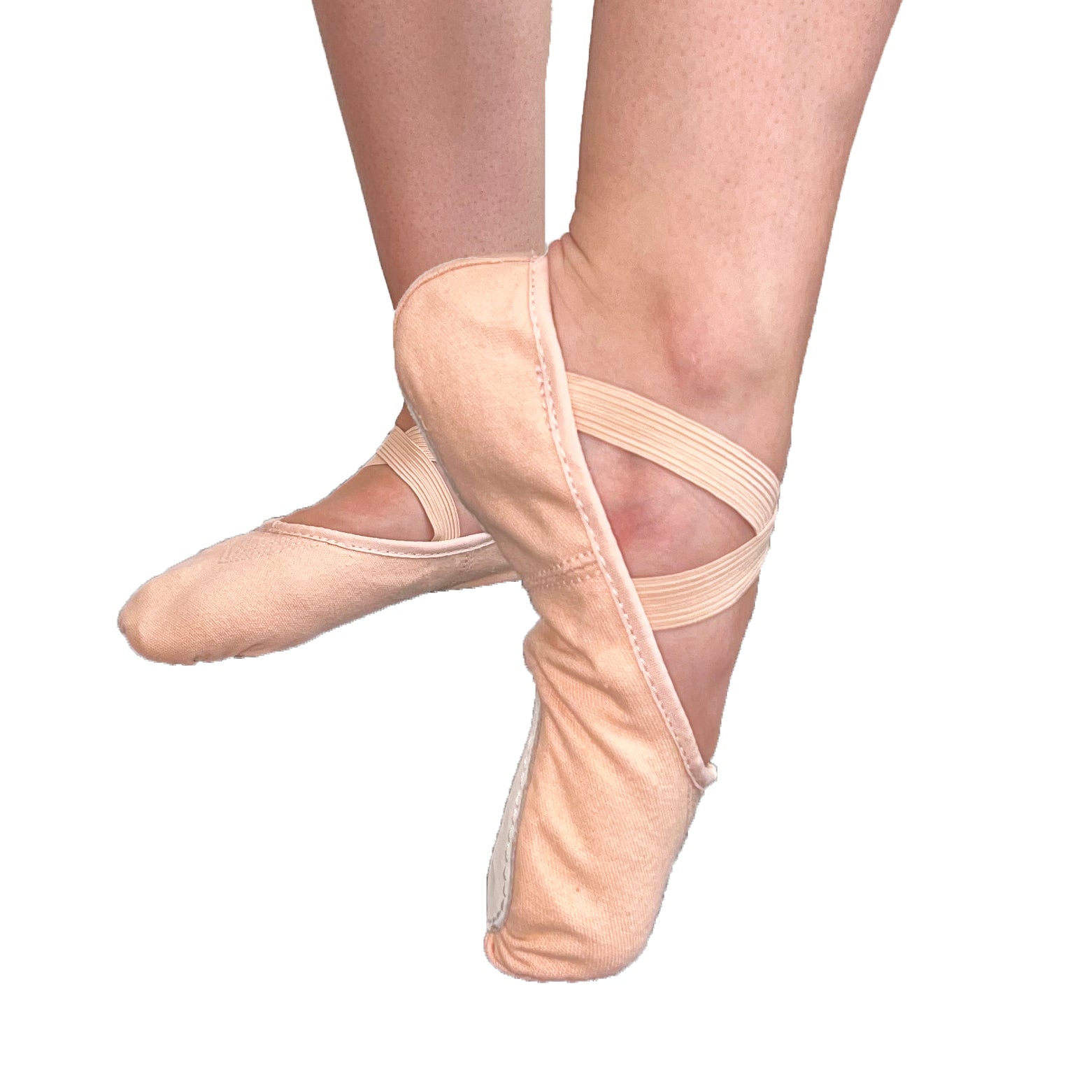 Ballet Shoe Canvas Split-Sole  Ballet Pink, Black, Hazelnut – GUS SHOP